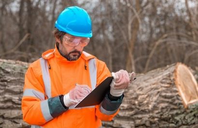 Tree Service