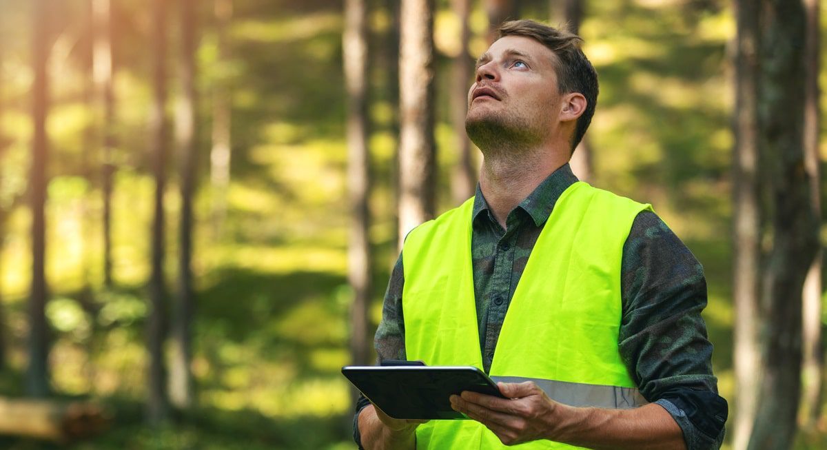 Elite Tree Care Blog